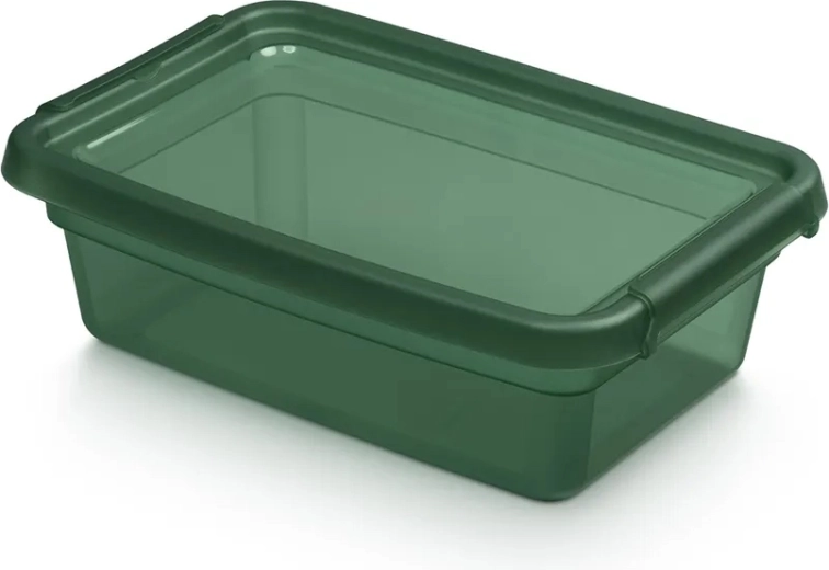 BASESTORE caja de almacenamiento de plástico con tapa y clips 3 l pine