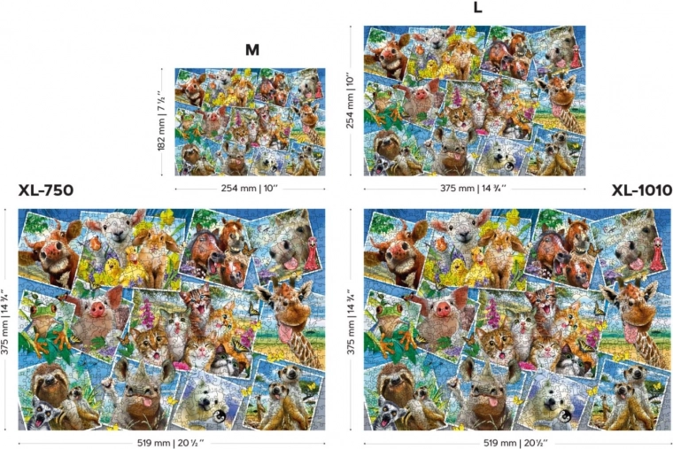 Piezas a doble cara para el doble de diversión