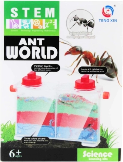 Set creativo – mundo de las hormigas