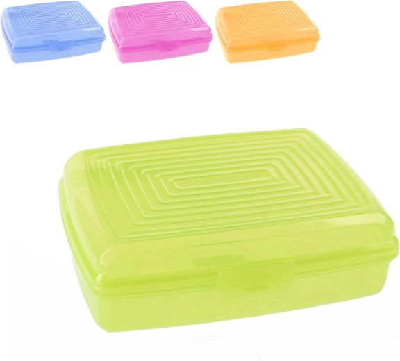 Caja de plástico para el almuerzo