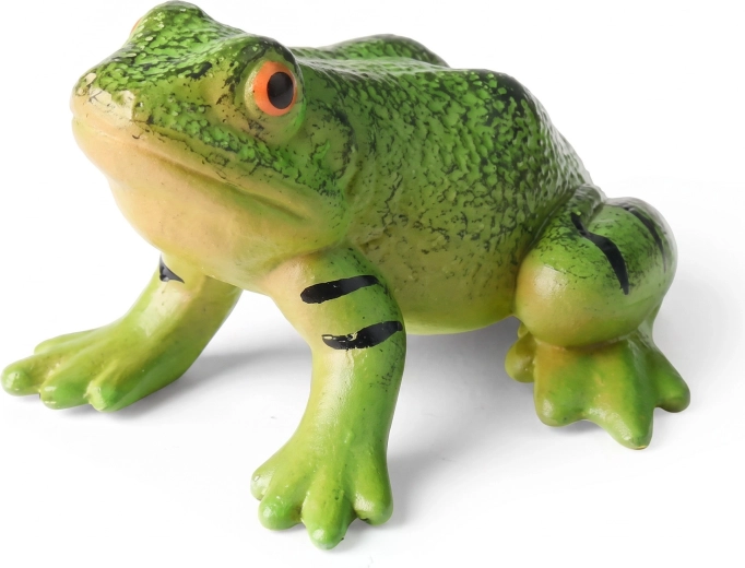 Diseño realista de la rana