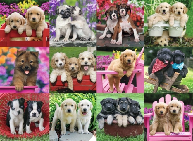 Puzzle Ravensburger Cachorros 500 piezas