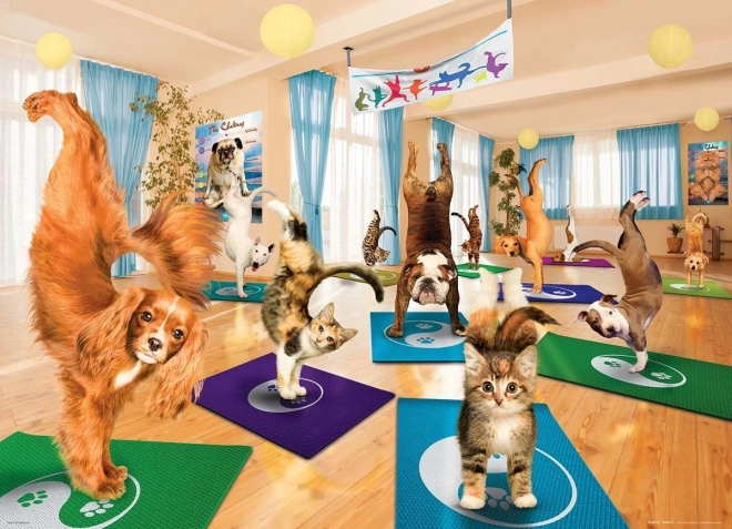 Puzzle EUROGRAPHICS Estudio de yoga XL 300 piezas
