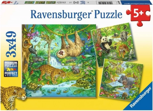 Puzzle Ravensburger Animales en la jungla 3×49 piezas