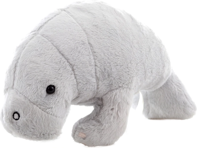 Seguro para los más pequeños (0+)