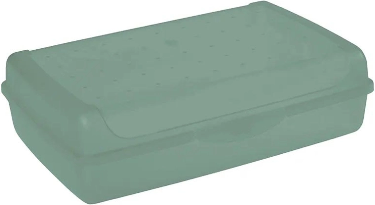 Luca click box maxi caja de almacenamiento con tapa 3,7 l verde
