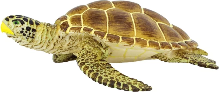 Safari Ltd. tortuga boba - 1 unidad
