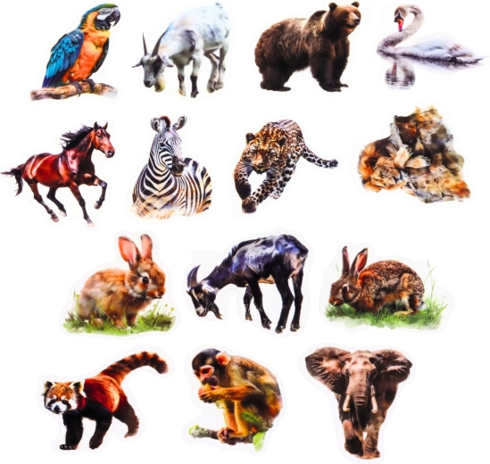 50 motivos realistas de animales