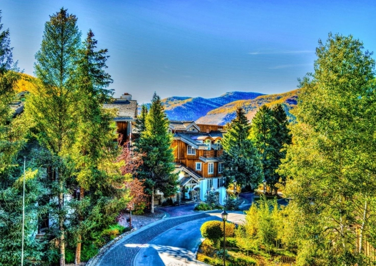 Puzzle Bluebird Vail, Colorado 1000 piezas