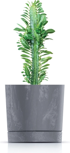 Ideal para suculentas, hierbas aromáticas y plantas pequeñas