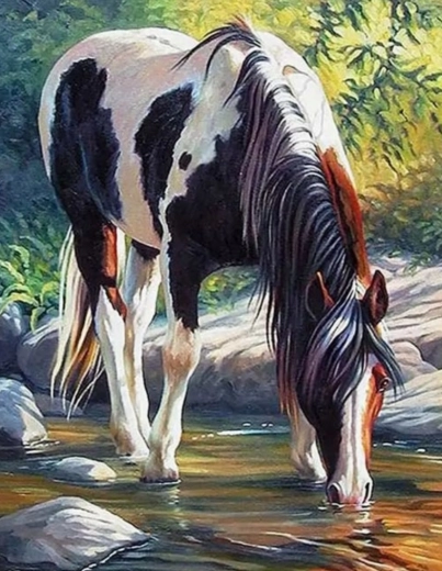 Pintura por números – caballo junto al río 40 × 50 cm