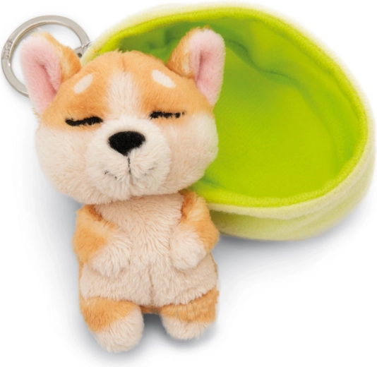 Elección sostenible de la colección NICI GREEN