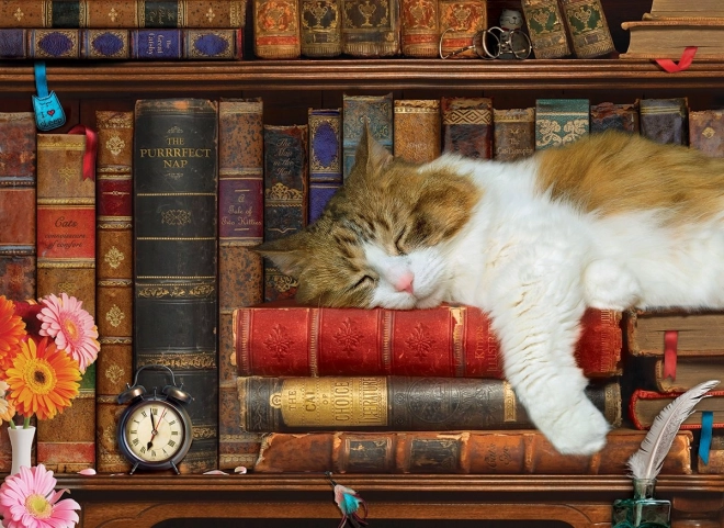 Puzzle Siesta felina XL 500 piezas Eurographics