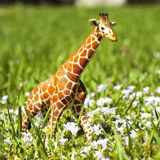 Aprendizaje jugando sobre los animales africanos