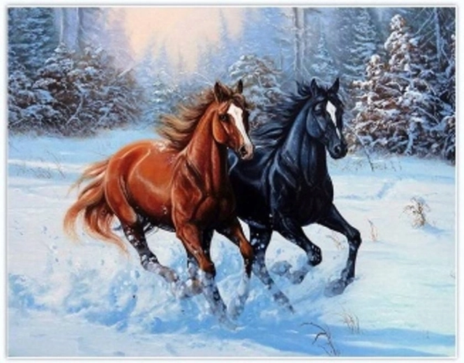 Norimpex pintura de diamantes Caballos corriendo en la nieve 30 × 40 cm