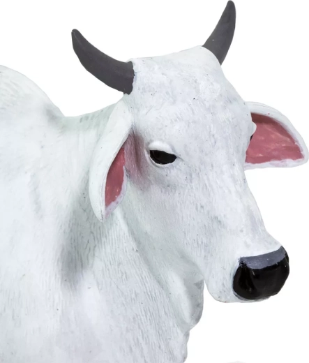 Detalles realistas para conocer animales