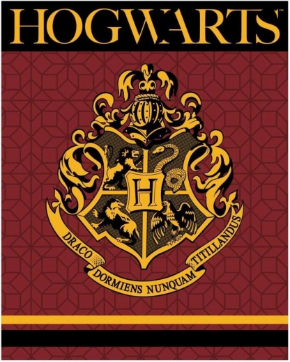 Manta de forro polar Harry Potter XL