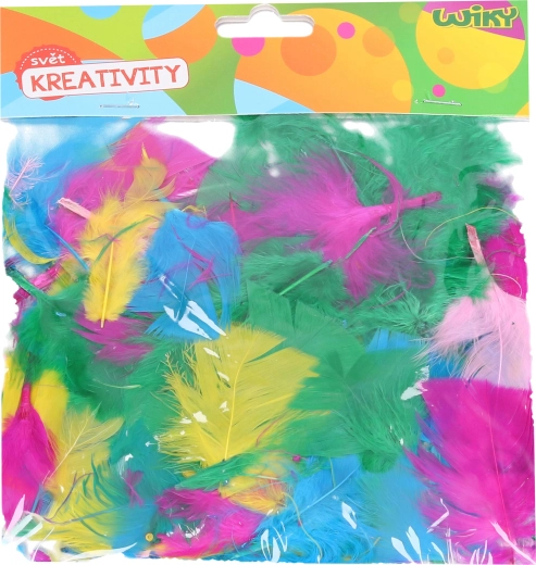 Set creativo de plumas decorativas – mix