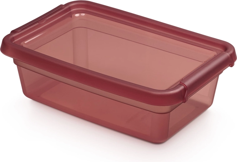 Caja de almacenamiento Basestore con tapa y clips 3 l, 19 × 28 × 9 cm, rhubarb