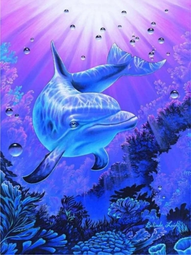 Norimpex pintura por números Delfín 40 × 50 cm