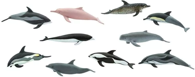 10 especies marinas en un solo paquete