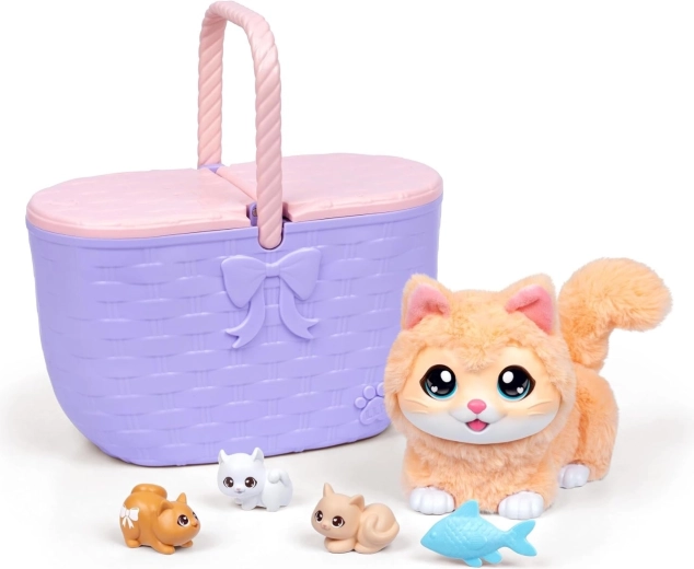 Cuidados de la adorable gatita