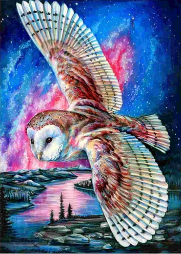 Norimpex pintura de diamantes Búho volador 30 × 40 cm