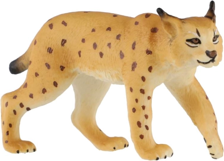 Rasgos característicos del lince