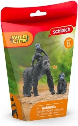 Juego educativo del mundo Wild Life