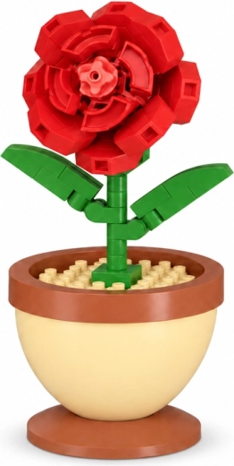 Rosa roja detallada