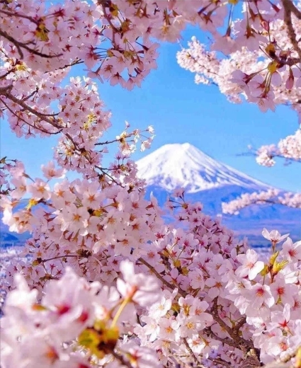 Pintura de diamantes Monte Fuji con flor de cerezo 30 × 40 cm