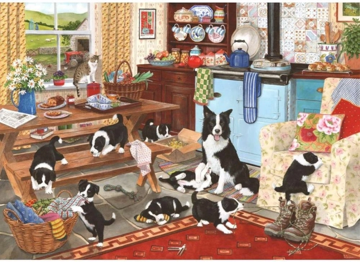 Puzzle Collie de 1000 piezas de House of Puzzles