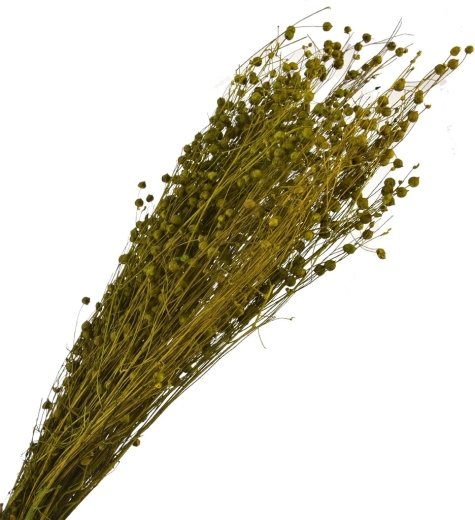 Hierba decorativa seca verde 40–70 cm