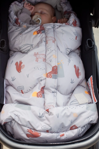Comodidad y un paseo más seguro en el carrito