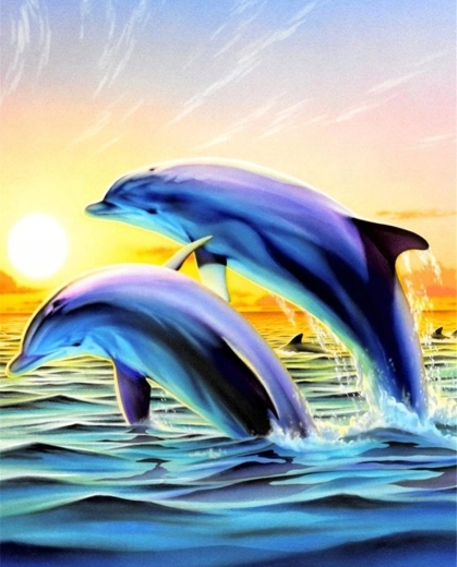 Norimpex Pintura por números Delfines saltando 40 × 50 cm