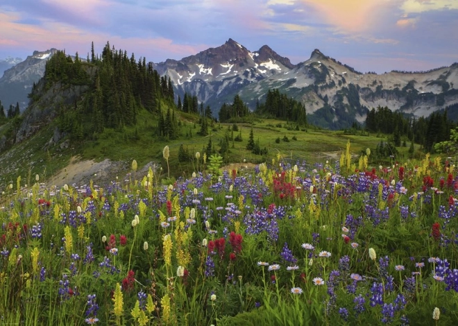 Puzzle de 2000 piezas - Montañas Tatoosh