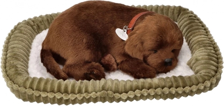 Cachorro de peluche que ronca – labrador chocolate sobre camita