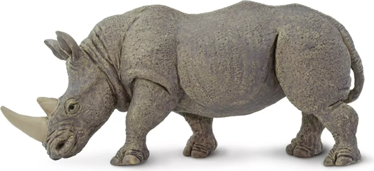 Rinoceronte blanco Safari Ltd.