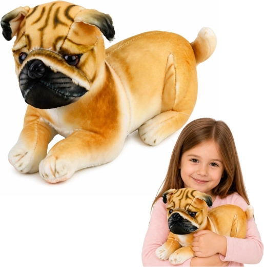 Pug de peluche 25 cm, perrito realista para abrazar