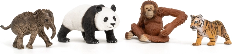 Set de inicio Wild Life Asia