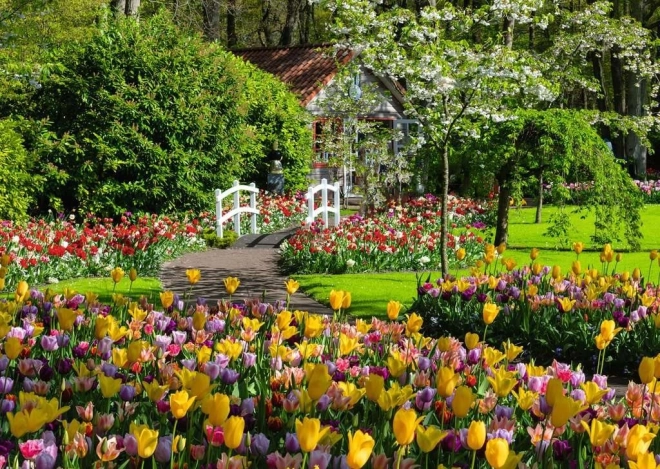 Puzle de 1000 piezas RAVENSBURGER – Hermosos jardines de Keukenhof, Países Bajos
