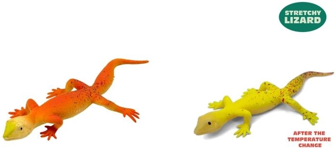 Magana gecko que cambia de color – lagarto mágico para niños