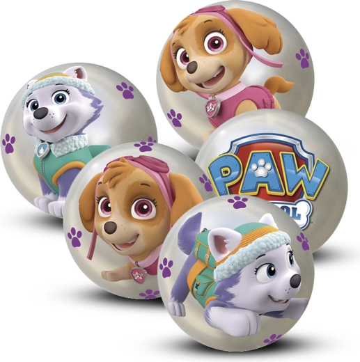 Pelota Patrulla Canina 10 cm – expositor de 12 unidades