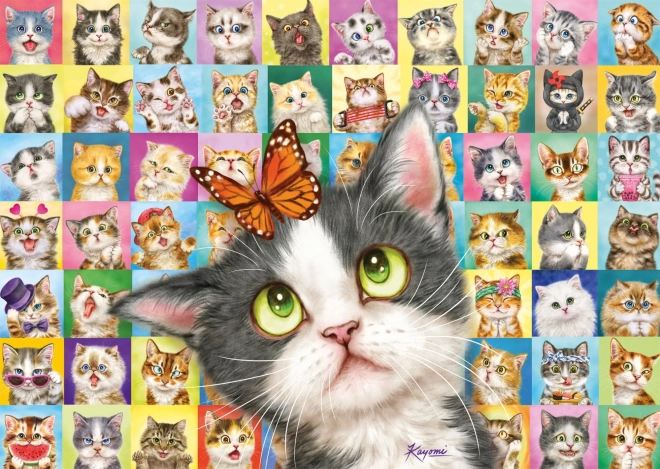 Puzzle SCHMIDT – expresiones de gatos, 1000 piezas