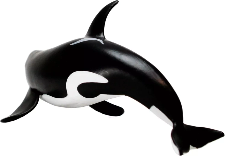 Aspecto único de la orca tipo D