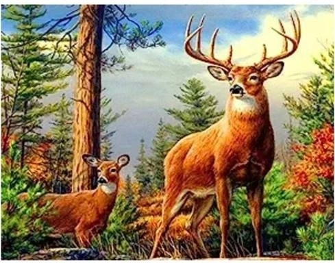 Norimpex pintura de diamantes ciervo en las montañas 30 × 40 cm