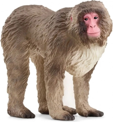 Figura Macaco Japonés Wild Life