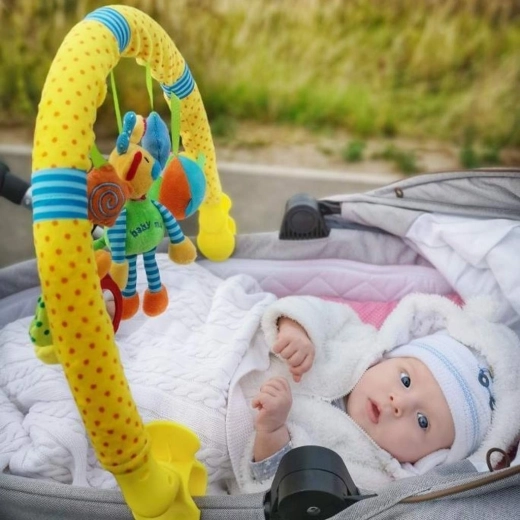 Sonajeros para divertirse durante los paseos