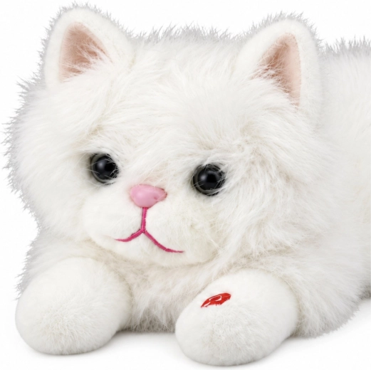 Adorable aspecto de gato blanco