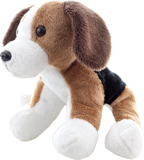 Detalles adorables del beagle